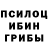 Псилоцибиновые грибы мухоморы Camilo Nuevo
